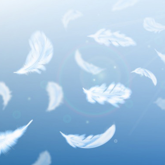 Feathers