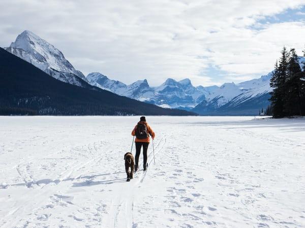 Man and dog in snow